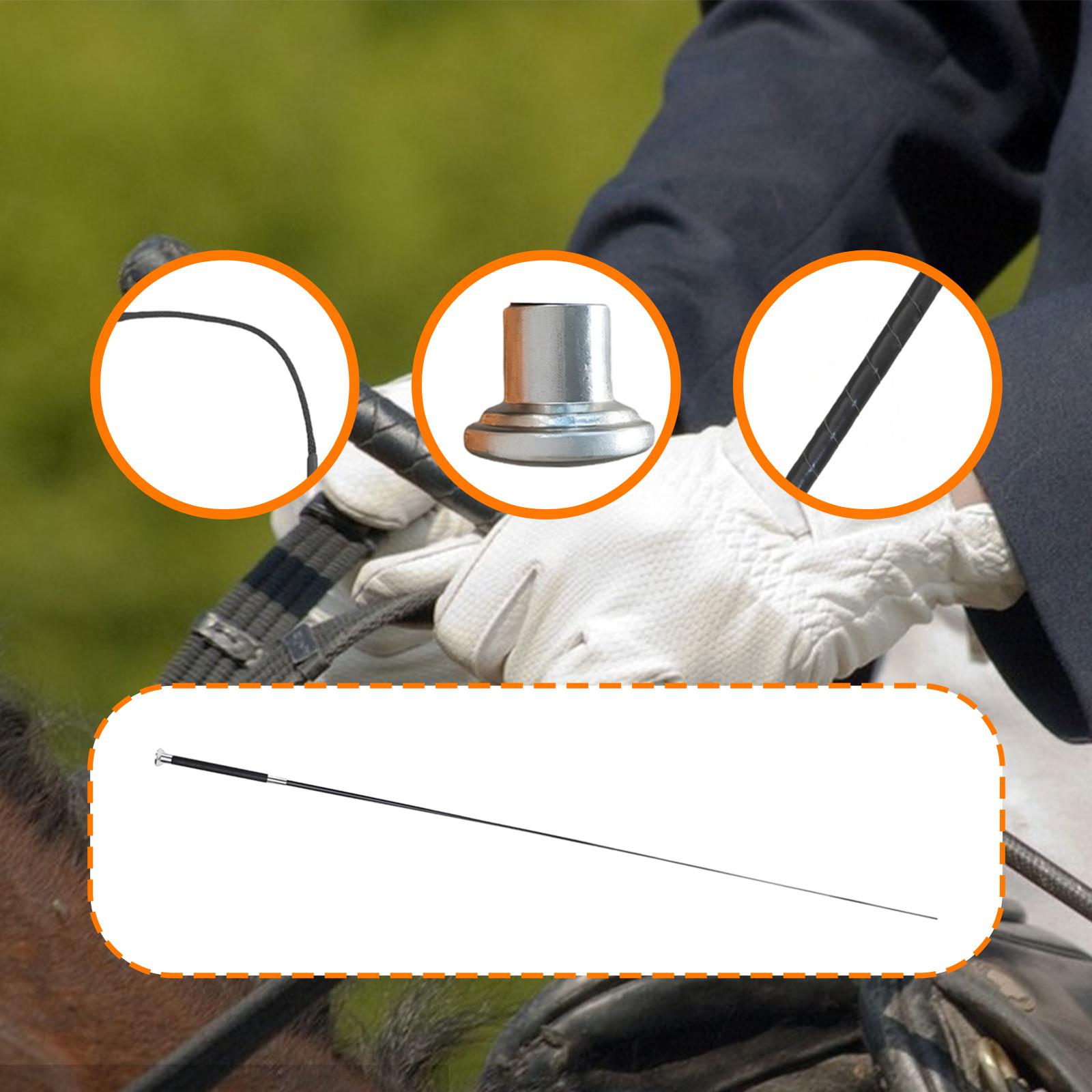 Frusta Versatile in Metallo e  - Riding Crop Dressage recensione e prezzo