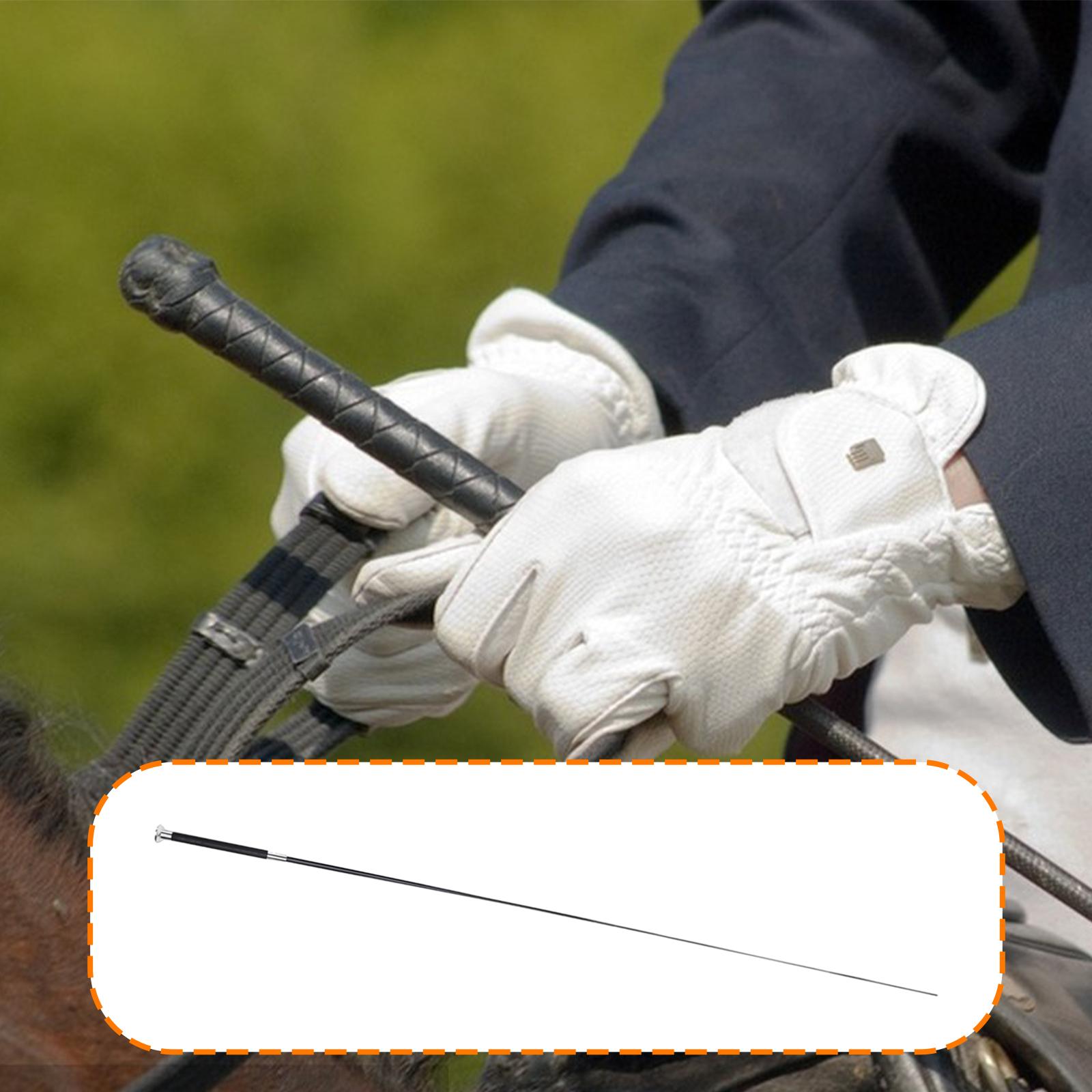 Frusta Versatile in Metallo e  - Riding Crop Dressage recensione e prezzo