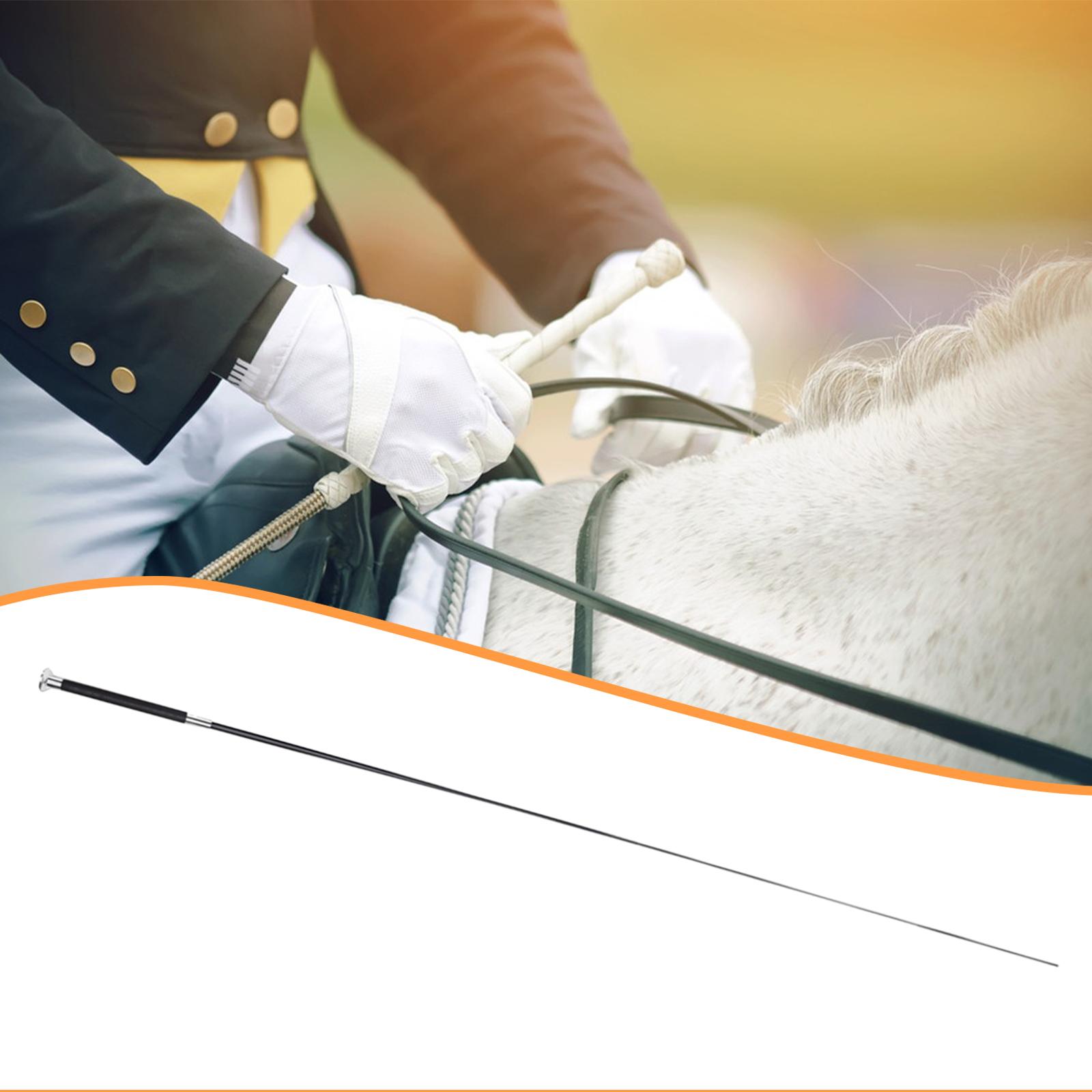 Frusta da Equitazione Regolabi - Riding Crop Dressage recensione e prezzo